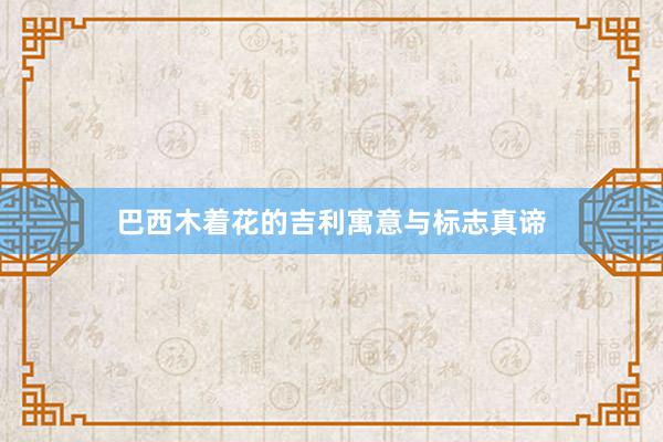 巴西木着花的吉利寓意与标志真谛