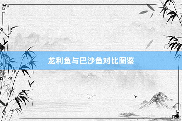 龙利鱼与巴沙鱼对比图鉴