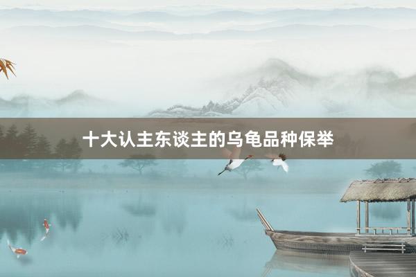 十大认主东谈主的乌龟品种保举